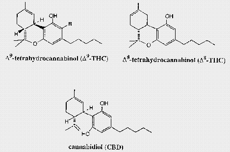 An efficient new cannabinoid antiemetic ...druglibrary.net