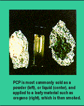 PCP is most commonly sold as a powder, or liquid, and applied to a leafy material such as oregano, which is then smoked.