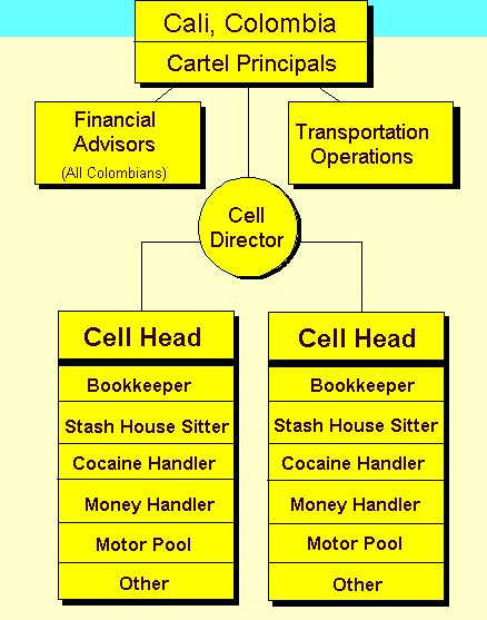 Sinaloa Cartel Organization Chart